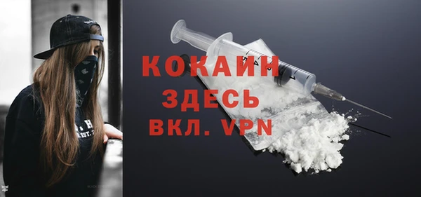 твердый Богородск