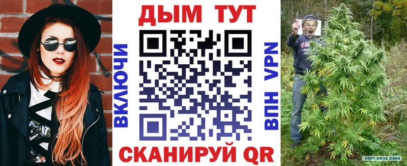 Бошки Шишки THC 21%  купить наркотики цена  Отрадная 
